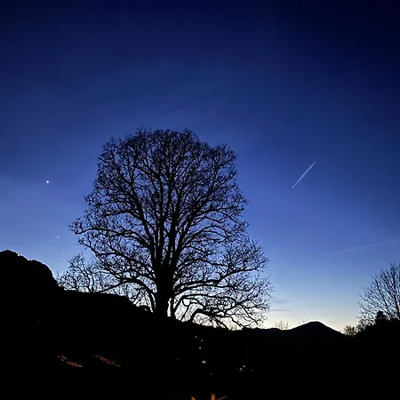 Bergblick Lejlighed